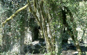 2025-04-07 Flévieu