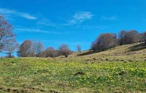 2025-04-10 Cuvéry