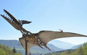 Sortie à DINOPLAGNE et lac Genin à la journée